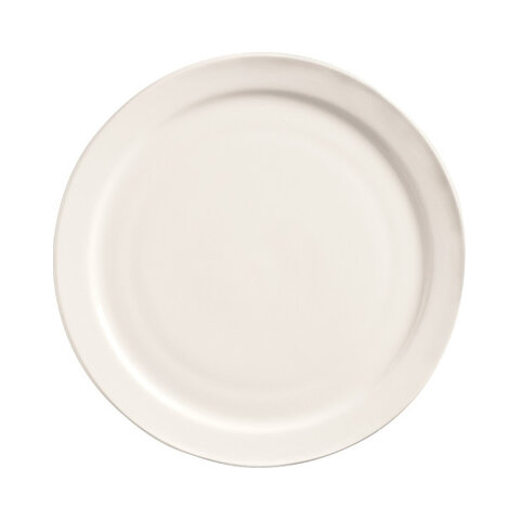 Porcelain dinner plate