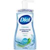 Dial Foaming Hand Wash Spring Water, 10 Fluid Ounce, 8 Per Case | SKU: 776027 | UPC: 017000346953
