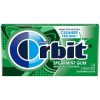 Orbit Spearmint Gum, 14 Piece, 3 Per Pack, 20 Per Case | SKU: 461945 | UPC: 022000255846