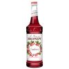 Monin Glass Cranberry Flavor Syrup, 750 ml, 12 Per Case | SKU: 399116 | UPC: 738337003400