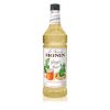 Monin Ginger Beer Syrup, 1 Liter, 4 Per Case | SKU: 598433 | UPC: 738337887048