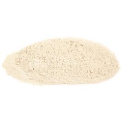 Sauer Onion Powder, 20 Ounce, 6 Per Case | SKU: 540234