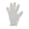 Valugards Hgi Powdered Extra Large Vinyl Glove, 100 Each, 100 Per Pack, 10 Per Case | SKU: 488651