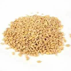 Commodity Beans Pearl Barley Bean, 25 Pounds | SKU: 571154 | UPC: 684476035546