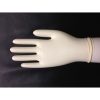 Boyd Gloves Extra Large Powder Free Disposable Latex Gloves, 100 Count, 10 Per Case