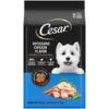 Cesar Chicken & Vegetable, 5 Pound, 4 Per Case
