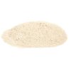 Sauer Onion Powder, 20 Ounce, 6 Per Case