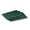 Scotch Brite General Purpose Scrub Pad Cash And Carry, 10 Count, 6 Per Case