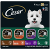 Cesar Flex Variety Club Pack, 24 Count