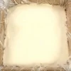 Ghirardelli Sweet Ground White Chocolate Flavor Powder, 25 Pounds